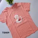 Soild T Shirt-TSH09